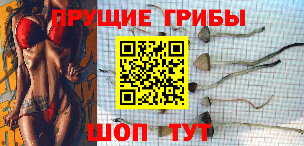 Псилоцибиновые грибы Magic Shrooms  Псилоцибиновые грибы мицелий  Михайловск  Вход с VPN 